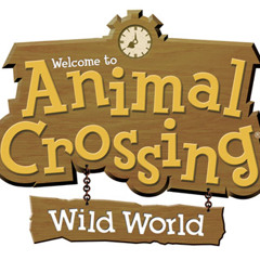 Animal Crossing Wild World 8PM Cover