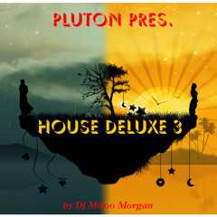 House DeLuxe 3