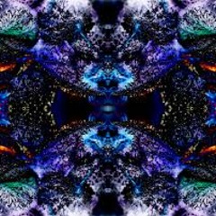 Pallatunes - Pain Receptor