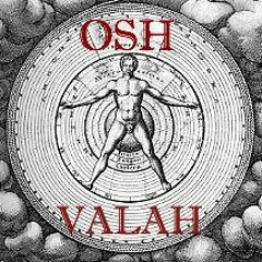 The Cry of Zeldof (Intro)