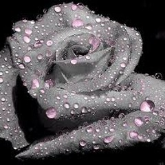 IAMLOVE