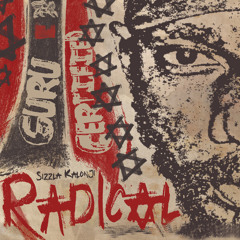 Sizzla - Radical [VP Records 2014]