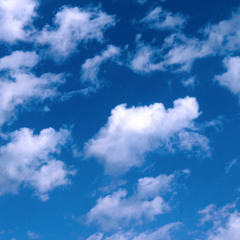 Daydreams