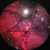Artwork for Dari - Corona Borealis
