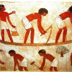 محمد قنديل - صبح يا جميل