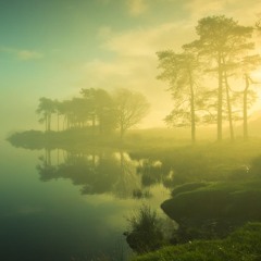 Green Haze