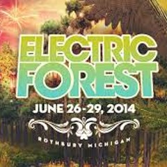 ElectricForest2014