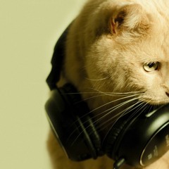 Fala Mal De Mim ((( DJ Wilhian Pedro ))) Mc Beyonce