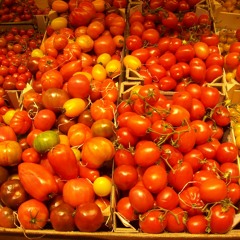 Camaleon Landaez La Piragua