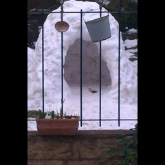 Bacon Industries Vs Astral - Maw