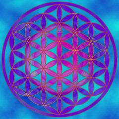 Diferencia Igual A Mas Conciencia