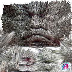 Zutzut - Icosaedro