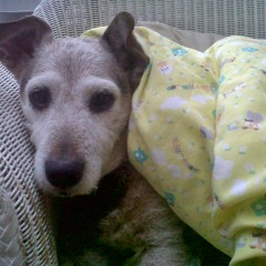 This Must Be Your Girlfriend