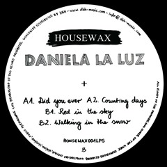 A1. Daniela La Luz - DID YOU EVER (Original Mix)