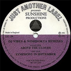 Vibes & Wishdokta - Above the Clouds (remix)