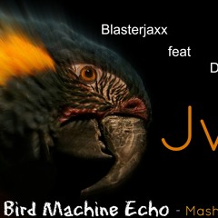 Blasterjaxx feat Dj Snake - Bird Machine Echo (JvB Mashup)