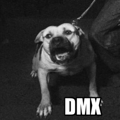 Dion Sav - DMX