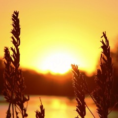 Echoes That Stand (Remake)