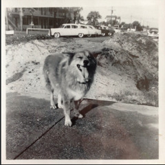 Unfortunate Gift of the Sun