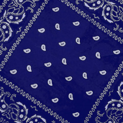 Blu Bandanna-Flawless Money and HoodSta LR