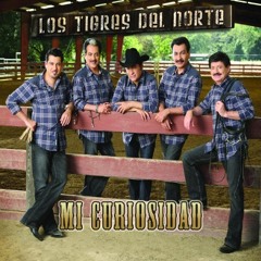Tigres Del Norte - Mi Curiosidad (REMIX SC')