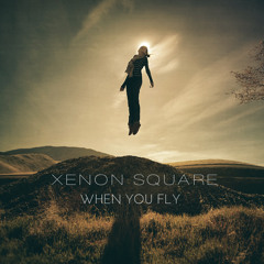 When You Fly