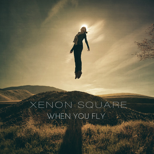 When You Fly