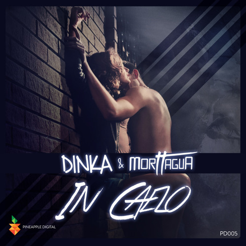Dinka & Morttagua - In Caelo (Original Mix) Preview  [Pineapple Digital]