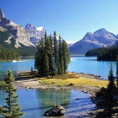 Refugio