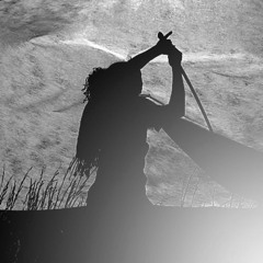 The way of samouraï