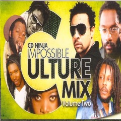 CD NINJA IMPOSSIBLE CULTURE MIX VOLUME 2 APRIL 201414