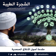 الشجرة الطيبة | الحلقة 1 | مقدمة المجالس | علي الجفري