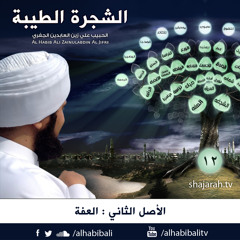 الشجرة الطيبة | الحلقة 12 | الأصل الثاني: العفة | علي الجفري