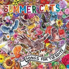 Summer Cats - Songs For Tuesdays sampler