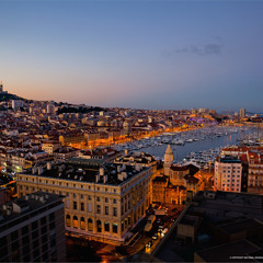 Dr Hammer - Shirqu&Scoob