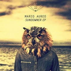 Mario Aureo - Going Back (Daniel Shepherd Remix)RYM002, OUT NOW
