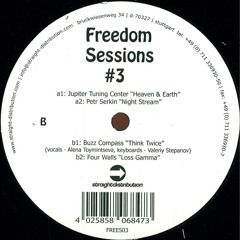 12" VA - Freedom Sessions #3 - Freedom Sessions Records 03