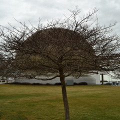 iLL Soul - All Gucci