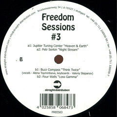 A2 Petr Serkin - Night Stream - Freedom Sessions Records 03