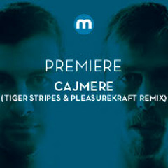 Premiere: Cajmere 'Satisfy' (Tiger Stripes & Pleasurekraft remix) [Cajual]