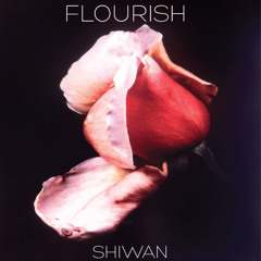 Shiwan - Flourish