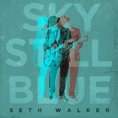 Trouble (Don't Want No):: Seth Walker