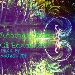 Another Side Of Paradise Ft. Fla$hy & Space Dolphin Prod. By Young Lite