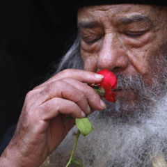 pop Shenouda "kasa2ed"