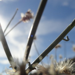 INSTANTE - JAVIER CINCO