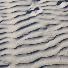 MUÉSTRAME MARÍA - JAVIER CINCO