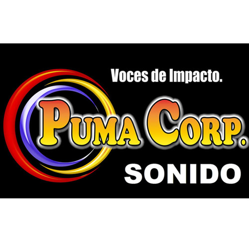 Stream PUMA CORP SONIDO by Ing. C. Gustavo Puma A. | Listen online for free  on SoundCloud
