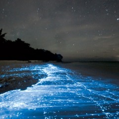 Sands of Time