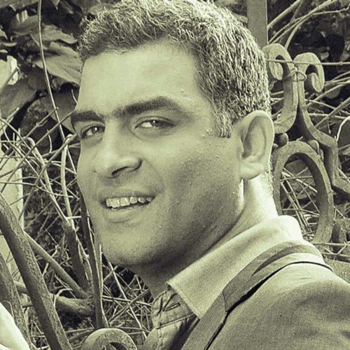 هاني عادل-ڤتارين