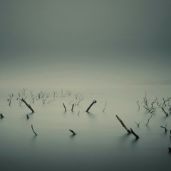 اغاني سودانية